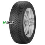 Шины Triangle SeasonX TA01 205/55R17 95V